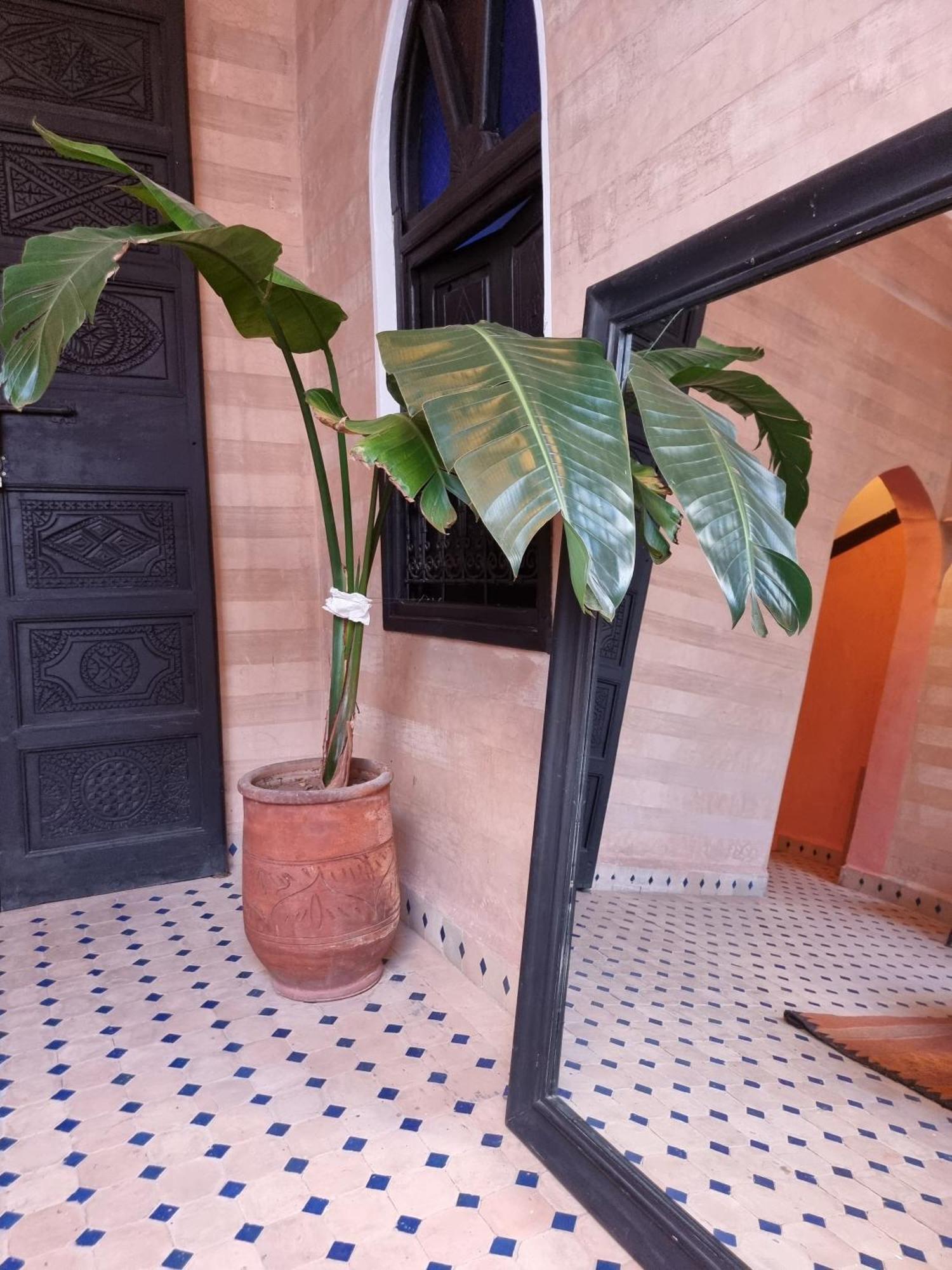 Riad Black Doors Марракеш Экстерьер фото