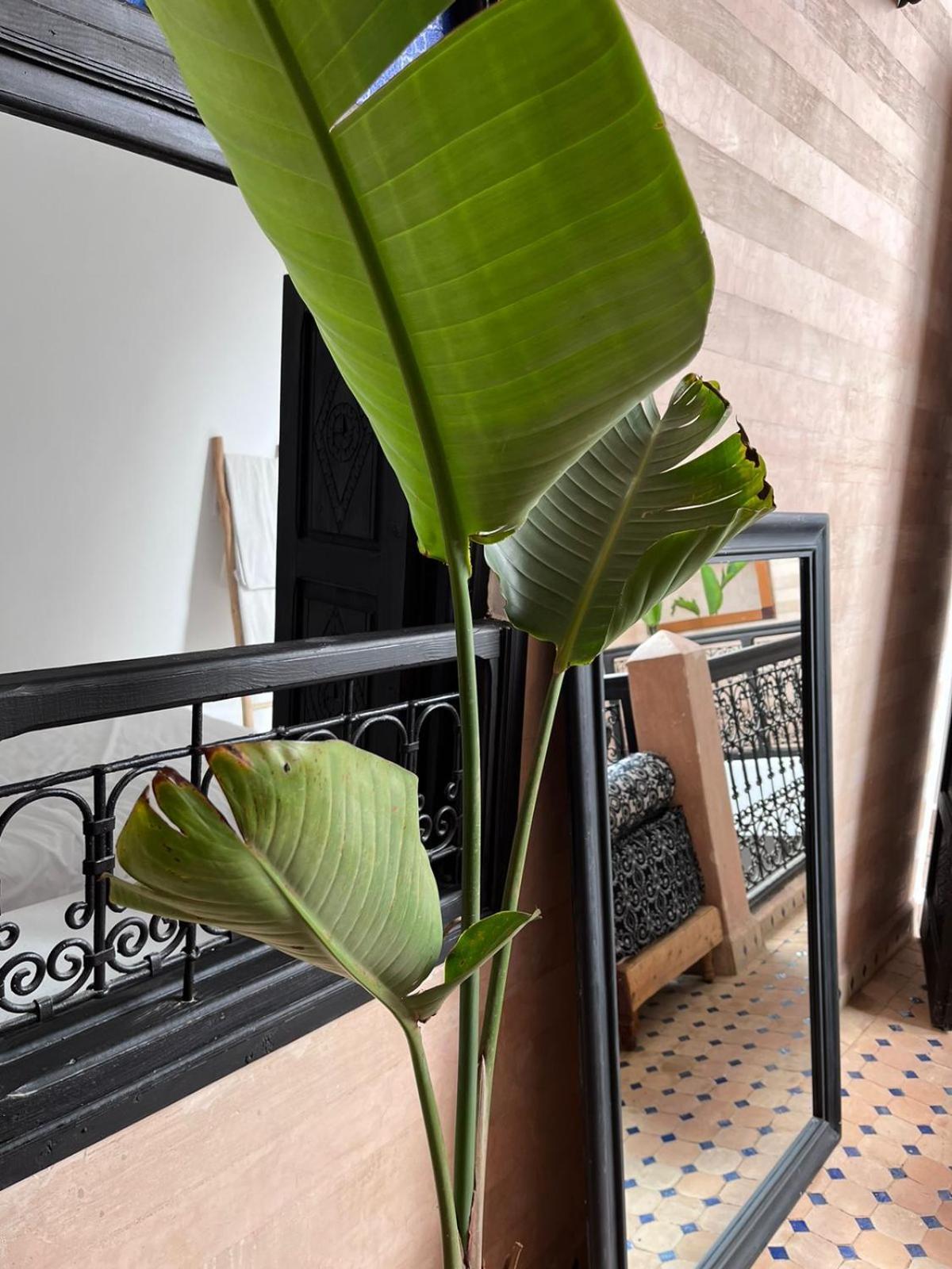 Riad Black Doors Марракеш Экстерьер фото