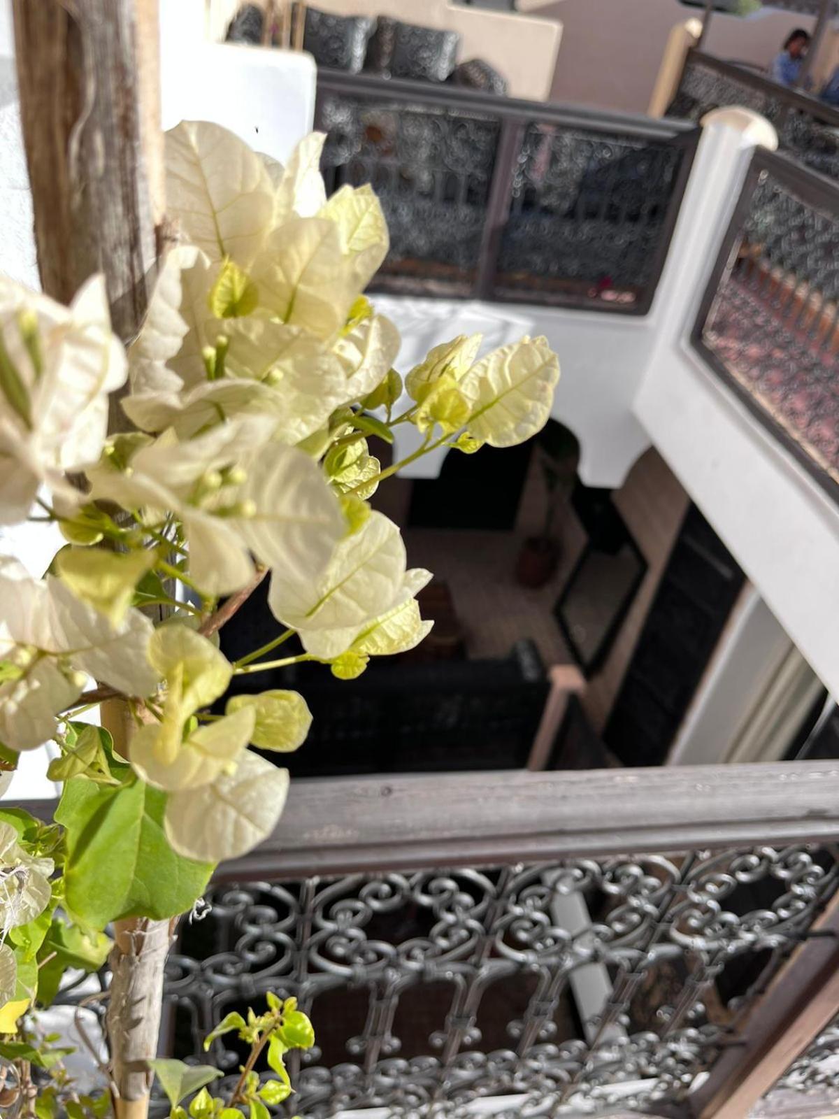 Riad Black Doors Марракеш Экстерьер фото